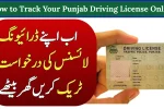 How to Track Your Punjab Driving License Online at DLIMS Punjab