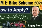 Breaking: Eligibility Criteria for PAVE Scheme Revealed: Check If You Qualify (2026)