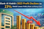 Bank Al Habib 2025 Profit Declines