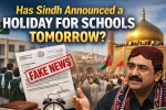 Has Sindh Announced a Holiday for Schools Tomorrow?